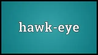 Hawk-eye Meaning