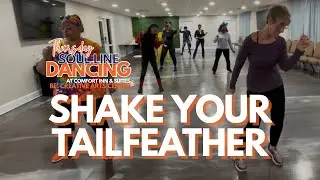 Shake Your Tailfeather Line Dance (Meechie) | BCAC
