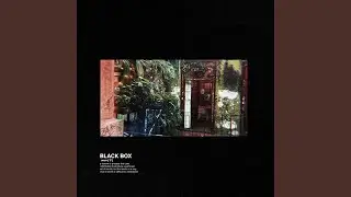 black box