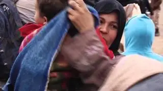Refugee or Economic Migrant?