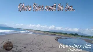 Estuary, where fresh water from river mixes with salt water from the ocean