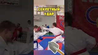 👆 Самый быстрый удар в Каратэ Кизами цуки