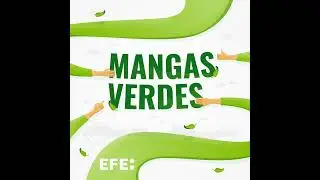 Mangas Verdes | Gas rad&oacute;n y arroz ecol&oacute;gico para terminar 2025