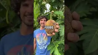 Лучшие продукты перед сном для лучшего сна