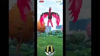 The cyrcle lock is broken, but 5 shiny in one day made my day better #pokemongo #moltres #subscribe