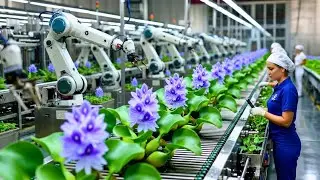 Inside a Water Hyacinth Factory &ndash; From Raw Plants to Finished Products (Full Process)