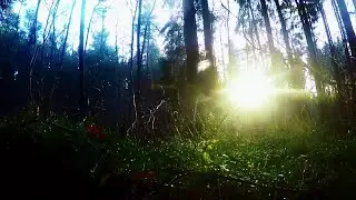 dirk rohde - xu.sounddesign | 