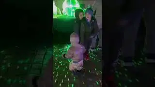 Botanic Gardens Light Show 2022