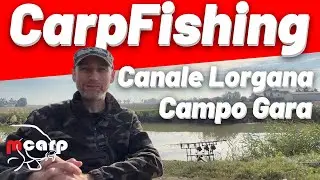 Carpfishing sessione nel Canale Lorgana Marmorta Campo Gara Zona Carpfishing