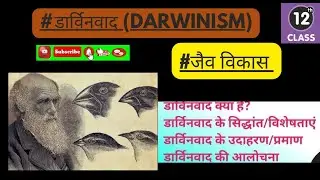 डार्विनवाद(Darwinism) || darwinism theory of evolution || darwinvad hindi || jaiv vikas ke siddhant