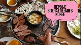 Корея первые впечатления Ансонг/Нэри
