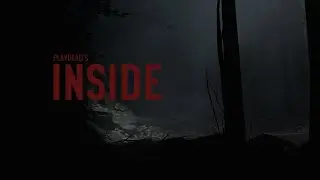 Inside nvidia geforce 810m gameplay