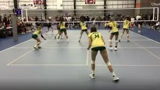 Allison Berent NDP #3 L/DS