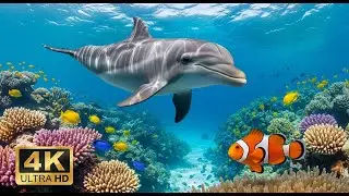 🌅 Deep Sea Aquarium 4K &ndash; Tranquil Fish Swimming & Soothing Background Music