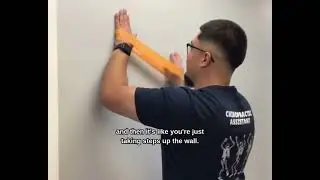How To Do Wall Walks Exercise | Tri Modern Health