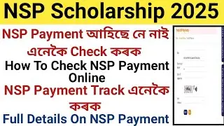 How to Check NSP Payment Status || NSP Payment এনেকৈ Check কৰক || Check NSP Payment Online