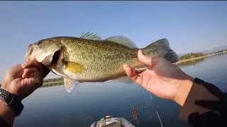 Small Mouth Bass Fishing 