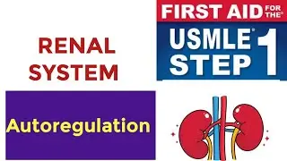 Renal Autoregulation Blood flow #Renal 19 | First Aid USMLE Step 1 in Urdu/Hindi |