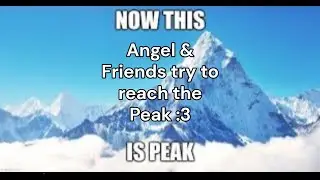 Angel And Friends Try To Reach The PEAK