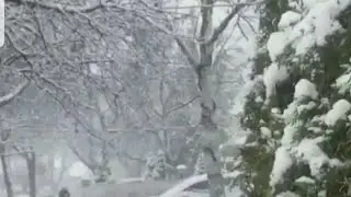 Winter time / Snow time again