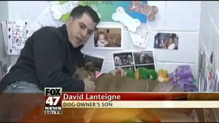 Dog Pulls Owner Off Train Tracks