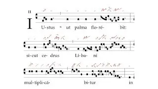 Graduale: Iustus ut palma