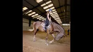 🐎Lovagl&aacute;s! 🐴  #rideit #lovagl&aacute;s #&uuml;get&eacute;s #edz&eacute;s #sportchild #juniorsport #moveout #kimozdul