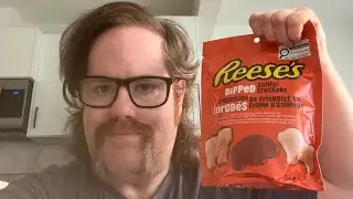 ccxxxi. I TRY: Reese&rsquo;s dipped animal crackers 