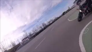 Tailchase Bob