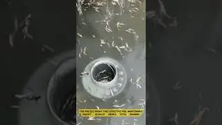 Effective Pool Cleaning Process with an Automatic Skimmer