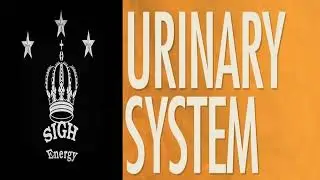 Urinary System Healing and Regeneration EXTREMELY POWERFUL!!! (Energetically Programmed)