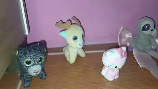 Moradito nos tiene una sorpresa