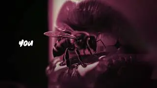 Bazl - Flame Too Slow Ragga (Remix)