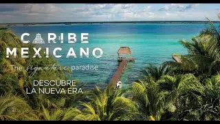 WEBINAR // QUINTANA ROO (2025)
