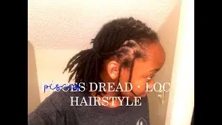 Short + Medium Locs Hairstyle: 
