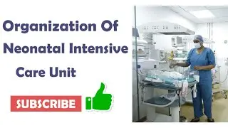 Organization of neonatal intensive care unit Pediatric nursing #bscnursing #neet