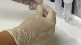 Приготовление цитологического мазка