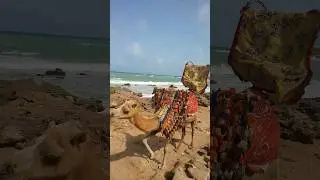 #shorts #beautiful Views of Mubarak Village Beach #youtubeshorts #viralshort #shortsvideo