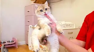 Quality Family Time! 😻 Me, My Husband & The Kittens