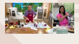 c e ll a Set of 2 Antimicrobial Ice Cube Tray w/ Scoop on QVC