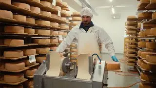 Intercheese Prozess-Videos (POS)