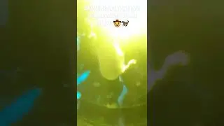 AHORA MARIA TUS MUSIC DE SAMBOROND&Oacute;N MI RECINTO🤠🐎 | ADOLFO ACOSTA SOLIS