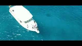 Chasing Mantas @ Cocoa Corner 15.10.2023