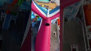 Does Carnival have the Loudest Cruise Ship Horn?