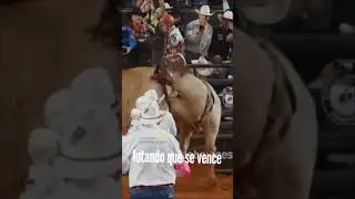 arena da vida, #vidanaro&ccedil;a , #deustemumapalavrapravoce
