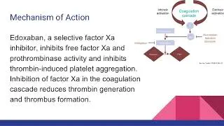 Savaysa Oral Anticoagulant