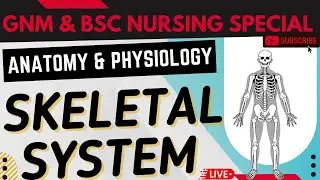Human Skeletal System in Hindi | Anatomy and Physiology