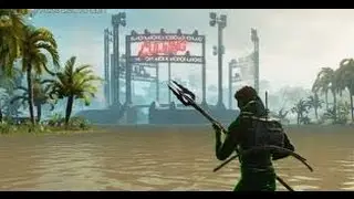 How to Win in The Culling