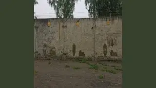 Время полумер