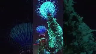 Dancing Lights  at Garden by the Bay  Singapore..